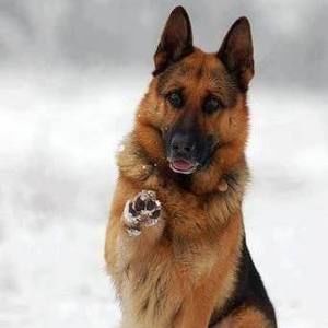 Meet your Posher, Rob